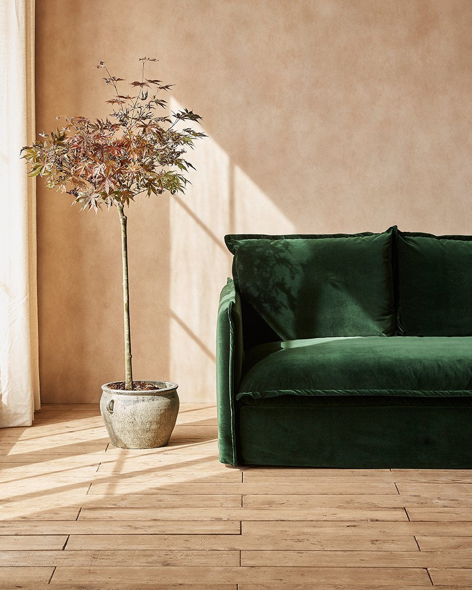 Neva Sofa in Emerald City, a dark green Washed Cotton Velvet, placed in a sunlit room next to a potted tree
