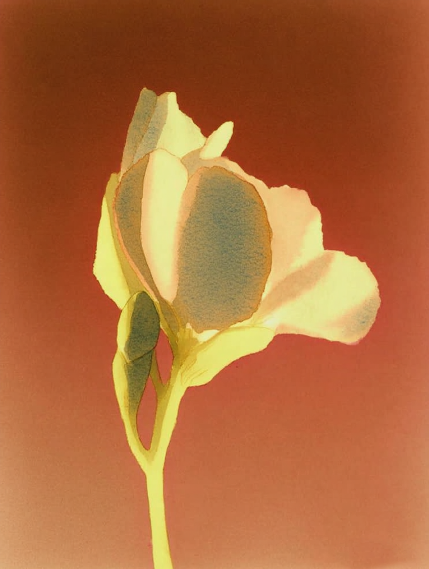 Everything you need to know before ordering.