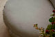 Slide #6 Top down view of Neva Round Daybed in Jasmine Rice, a light warm greige Medium Weight Linen